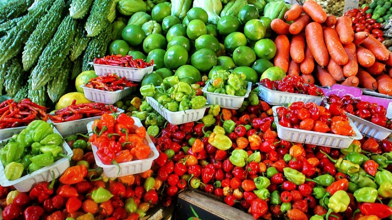 primeur-LES MUJOULS-min_farmers-market-1329008